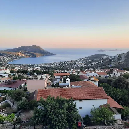 Villa Hadi